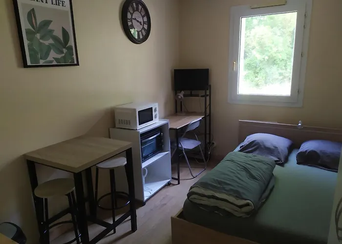 公寓 Studette Chaleureuse 图尔