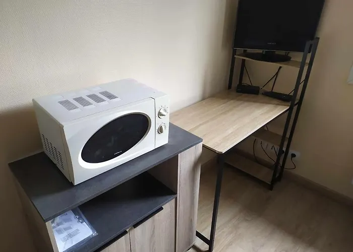 公寓 Studette Chaleureuse 图尔